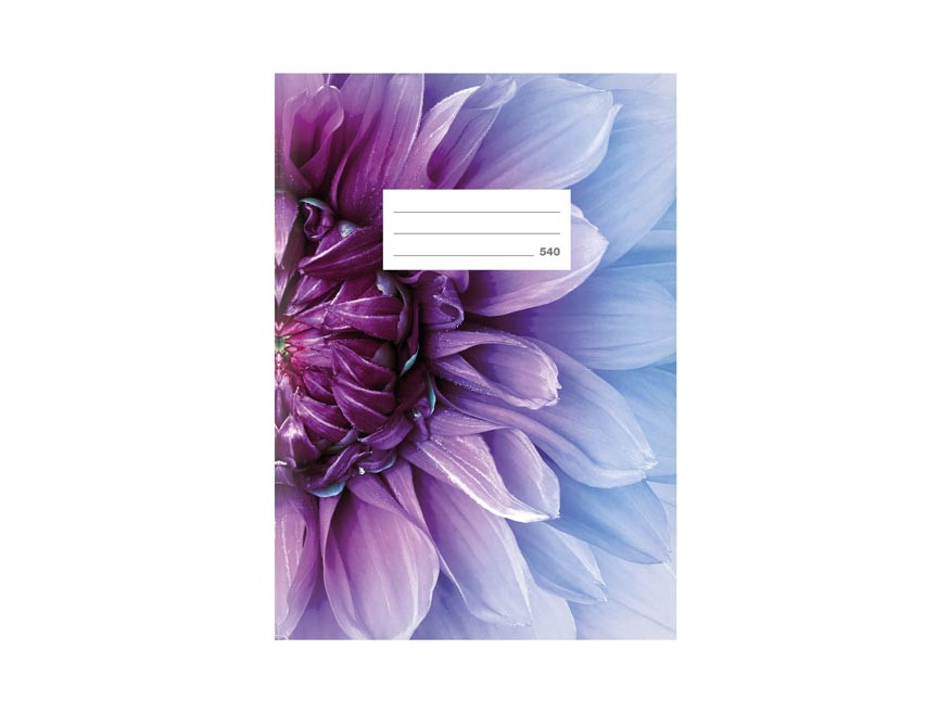 MFP 7520386 Školní sešit LUX A5 540