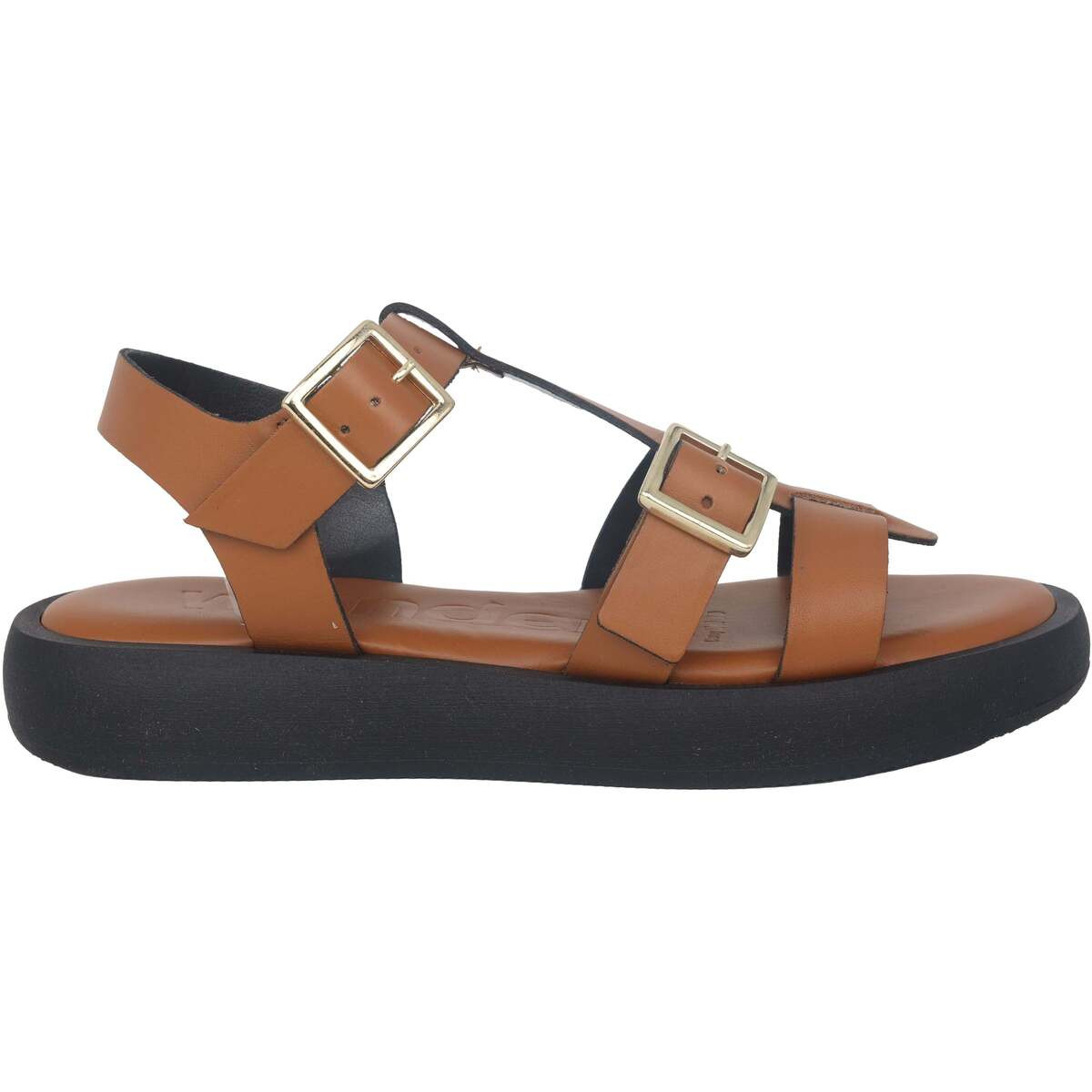 Wonders  Luz  Hnědá