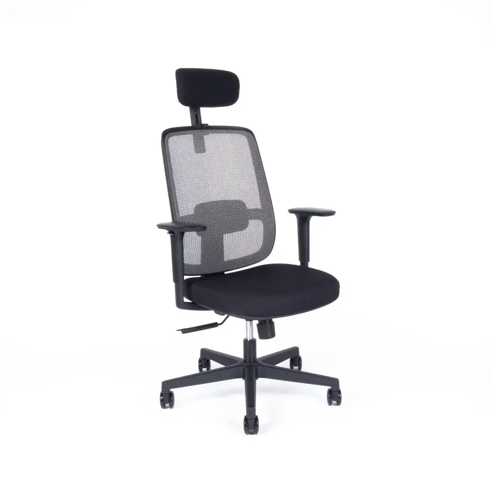 Kancelářská ergonomická židle CANTO — více barev Šedá
