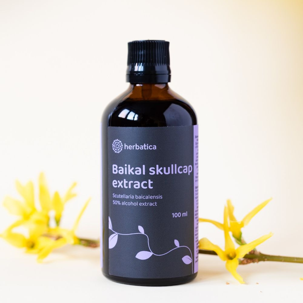 Šišák bajkalský tinktura - 100ml - Herbatica