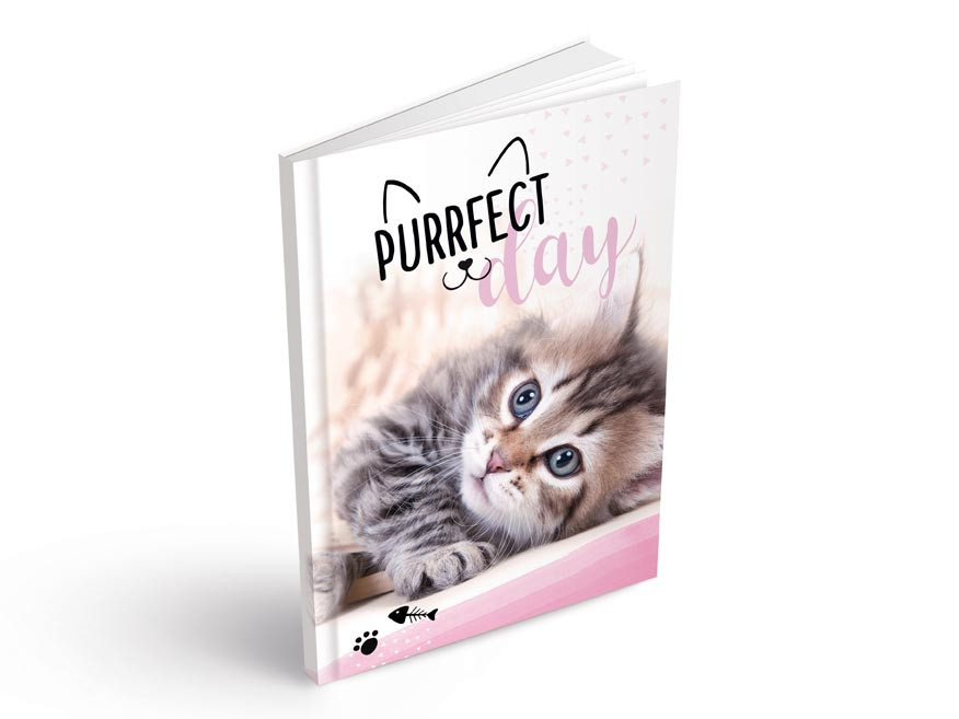 MFP 7501109 Záznamová kniha A5 100l/linka ZL5104