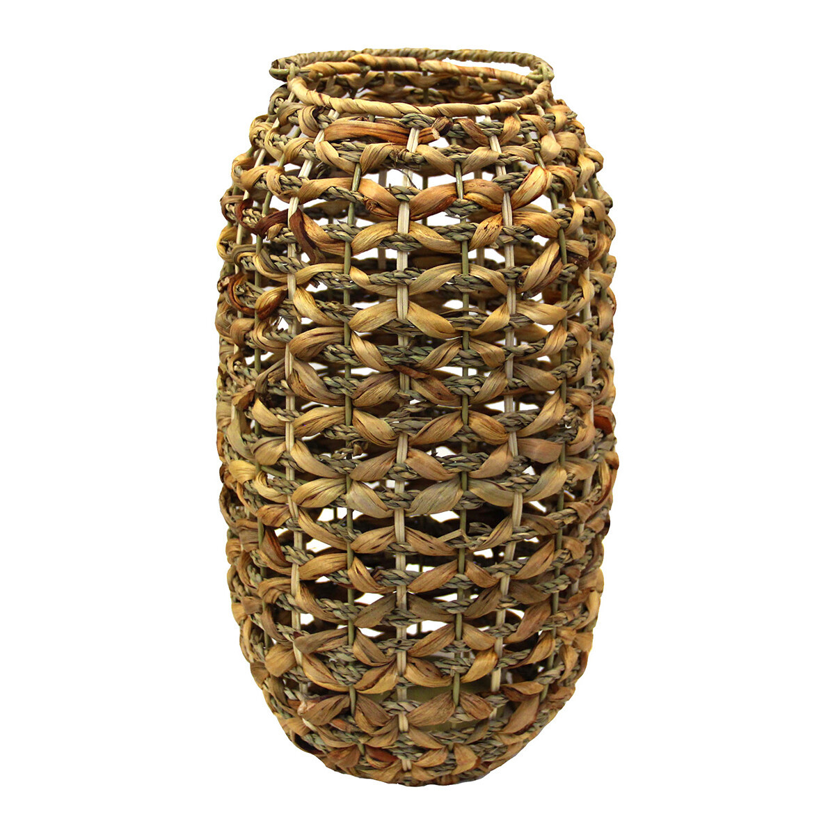 Signes Grimalt  Svícen  Hnědá