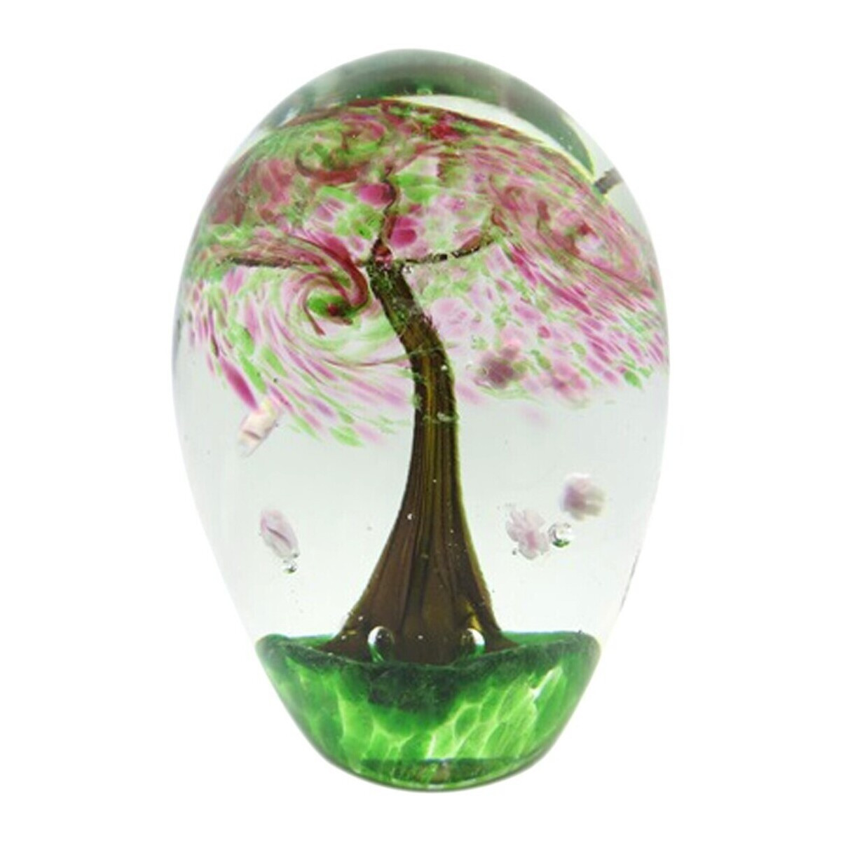 Signes Grimalt  Strom Těžítko  Hnědá