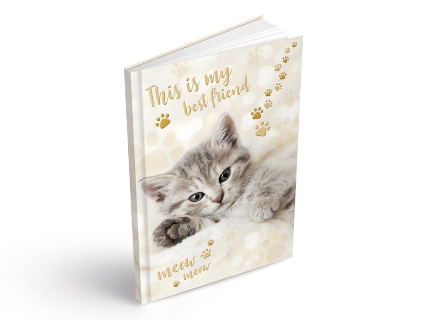 MFP 7501394 Záznamová kniha A5 100l/čistá ZL5100