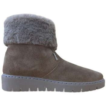 Titanitos  E997 MERIDA Tostado  Hnědá