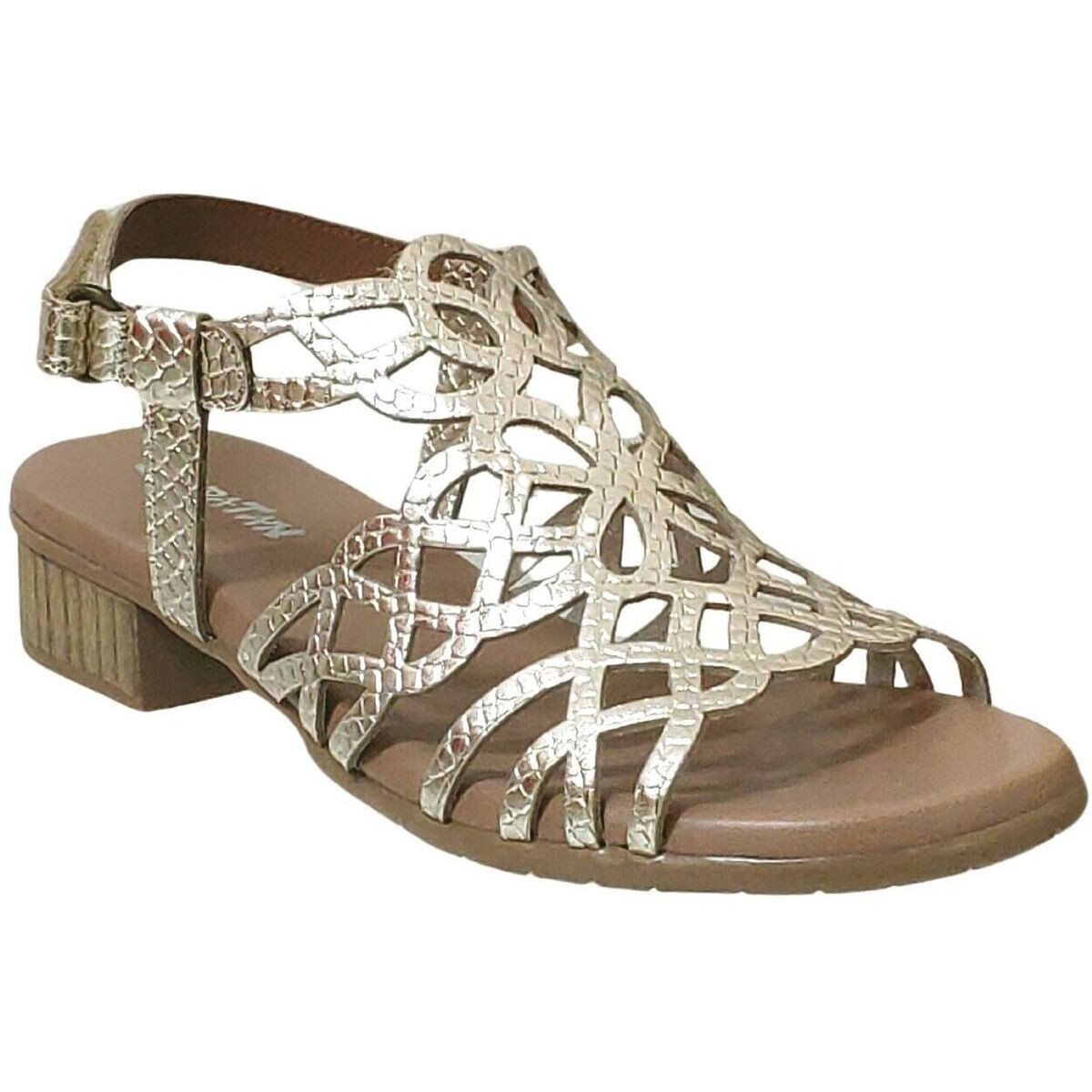 Xapatan  Baza-2011  Zlatá