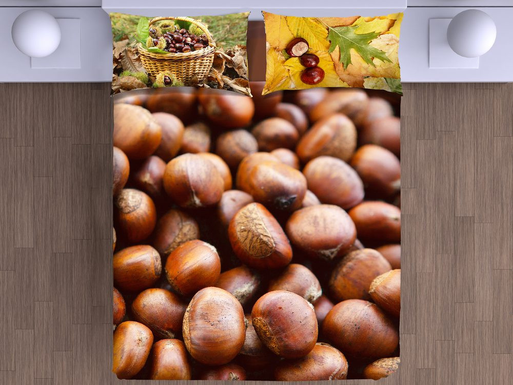 Gipetex Natural Dream 3D italské povlečení 100% bavlna Castagne - 140x200 / 70x90 cm