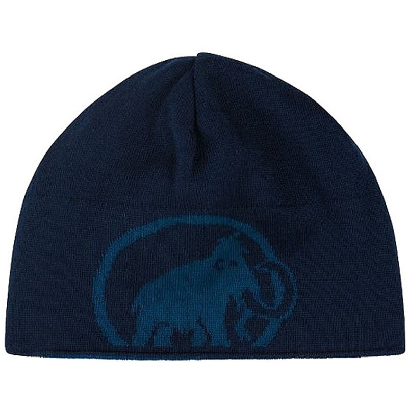 Mammut Čepice Mammut Logo Beanie Marine