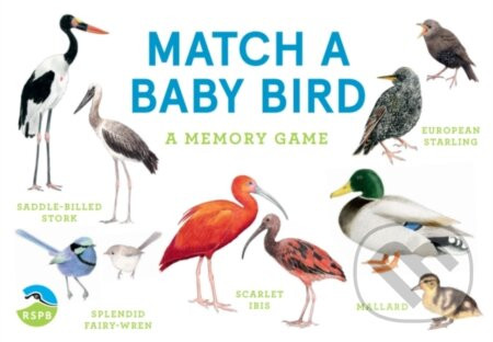 Match a Baby Bird - Mike Unwin
