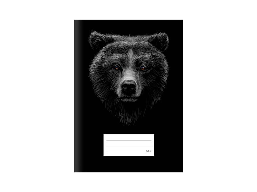 MFP 7520380 Školní sešit LUX A5 540