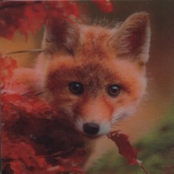 Lišče - magnet (MCG14)