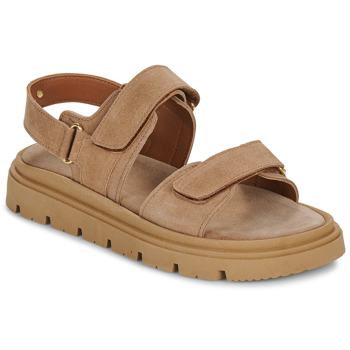 JB Martin  CLEM  Hnědá