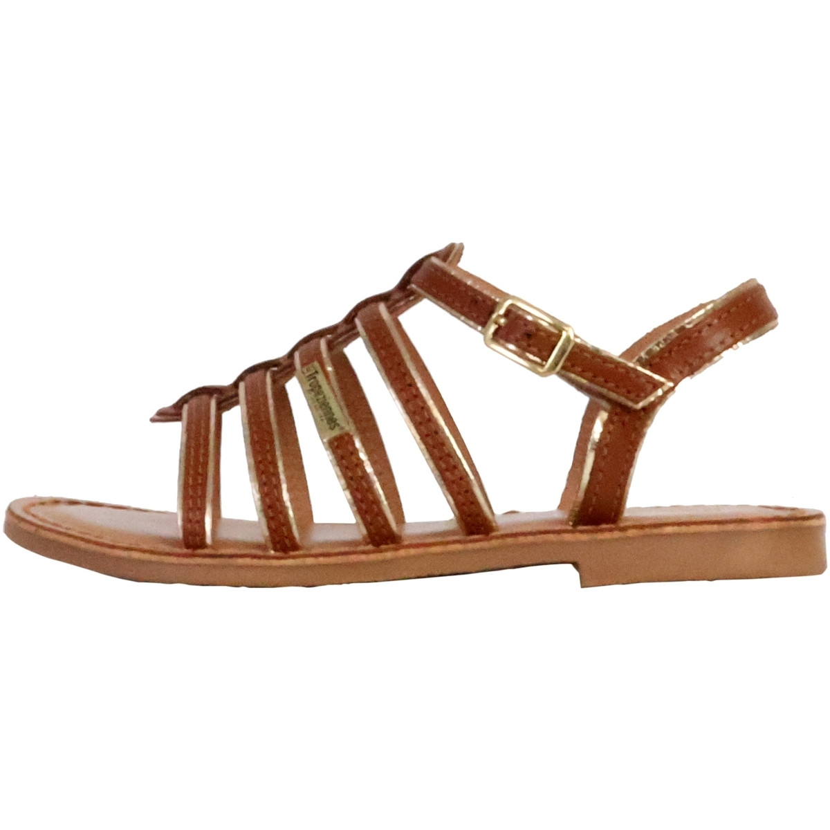 Les Tropéziennes par M Belarbi  248801  Hnědá