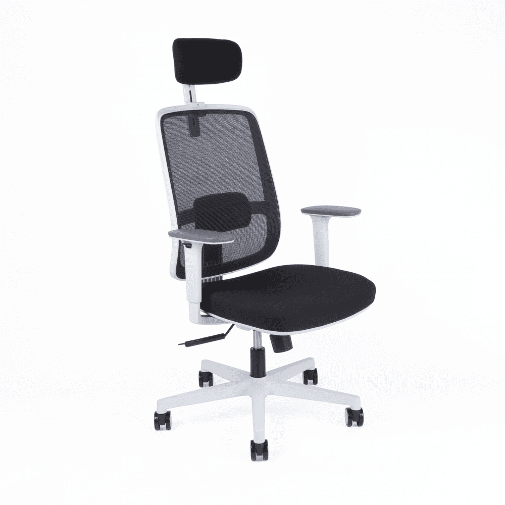 Kancelářská ergonomická židle CANTO W — černá / bílá