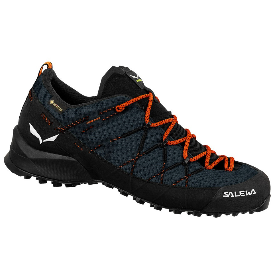 Pánské boty Salewa Wildfire 2 Gtx M Velikost bot (EU): 46,5 / Barva: modrá