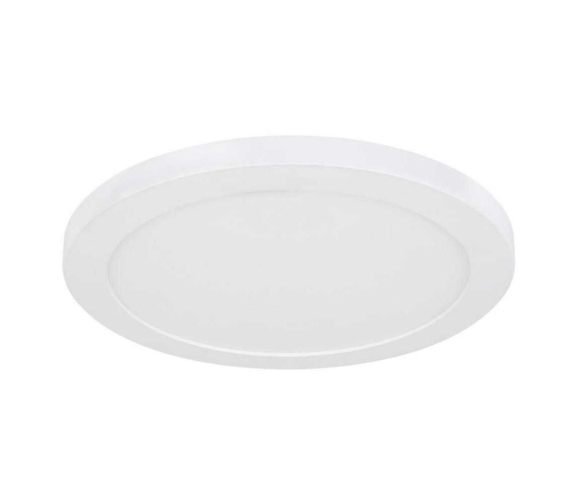 Globo Globo 12379-24W - LED Stropní svítidlo LASSE LED/24W/230V