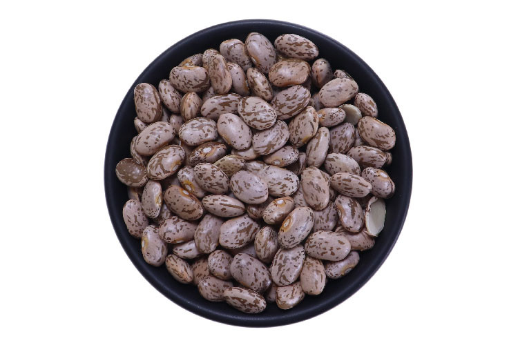 Profikoření - Fazole barevná Pinto (5 Kg)