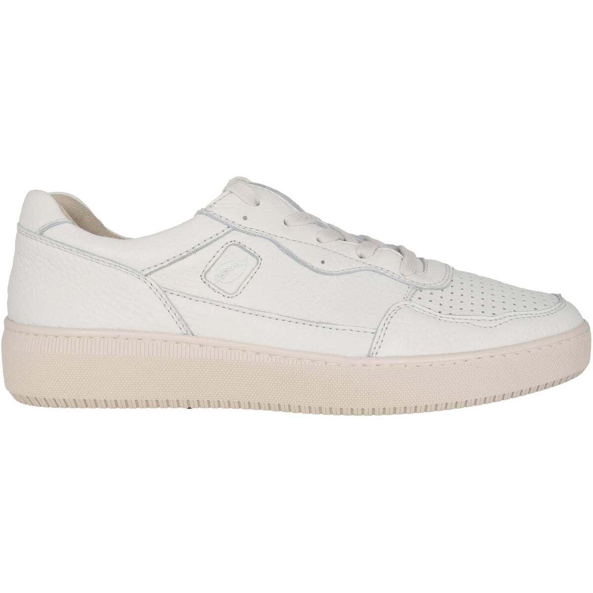 Waldläufer  H-Johann  Bílá