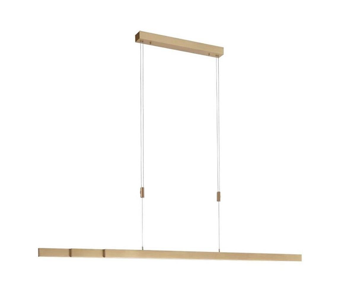 Paul Neuhaus Paul Neuhaus 2568-60 - LED Stmívatelný lustr na lanku ADRIANA LED/14W/230V mosaz