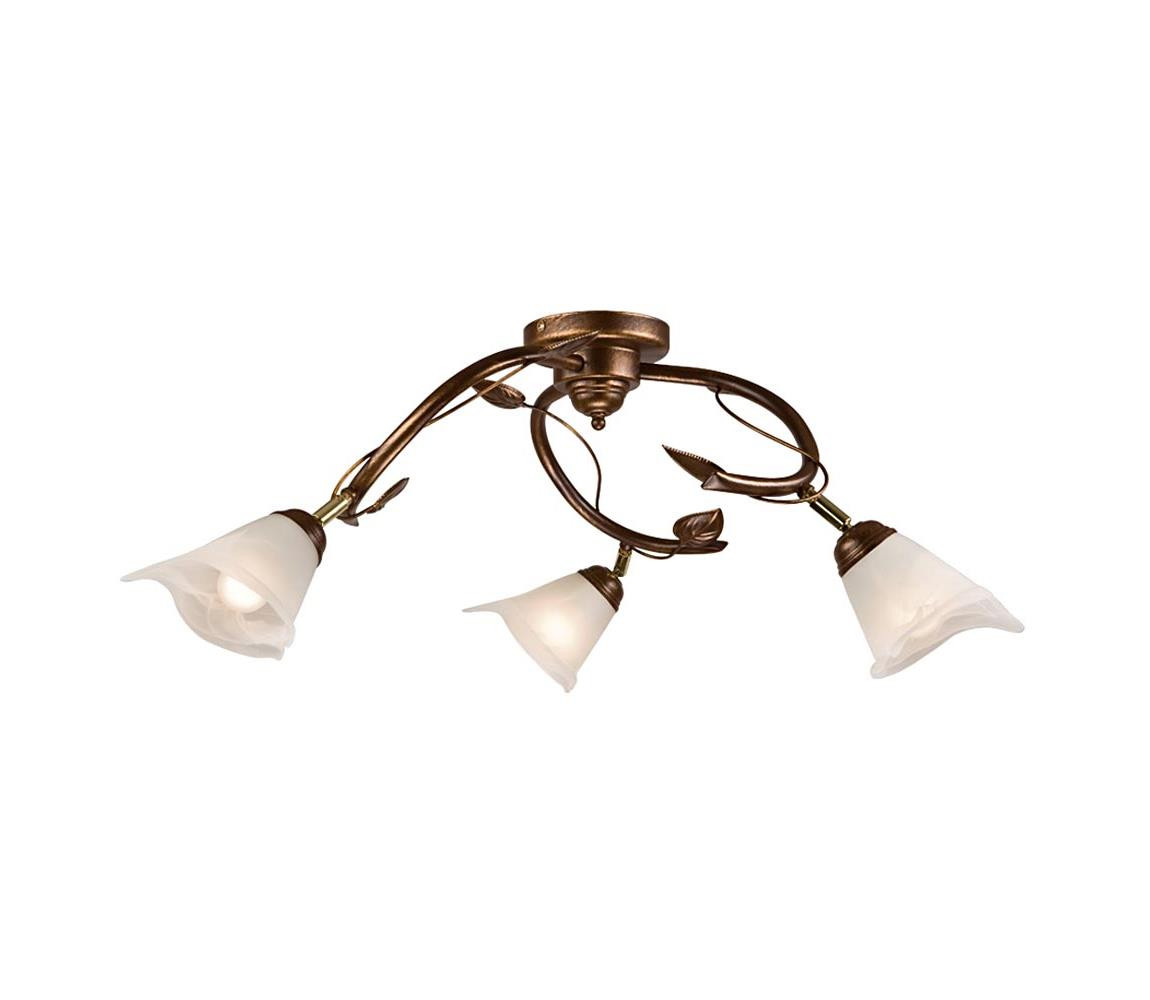 Bodové svítidlo IVY 3xE14/40W/230V