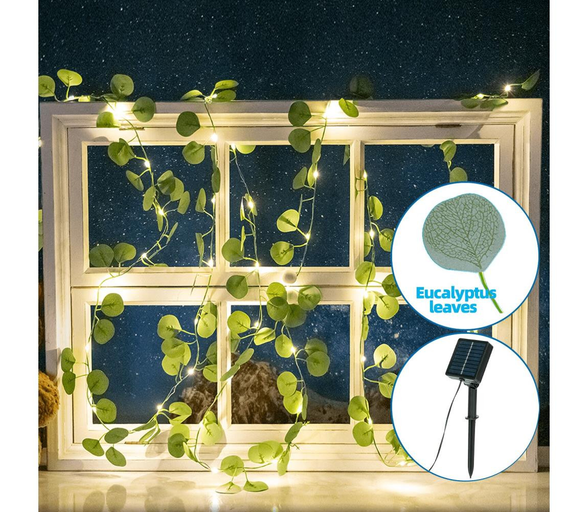 B.V.  - LED Solární řetěz 50xLED/7m IP65 teplá bílá eukalyptus