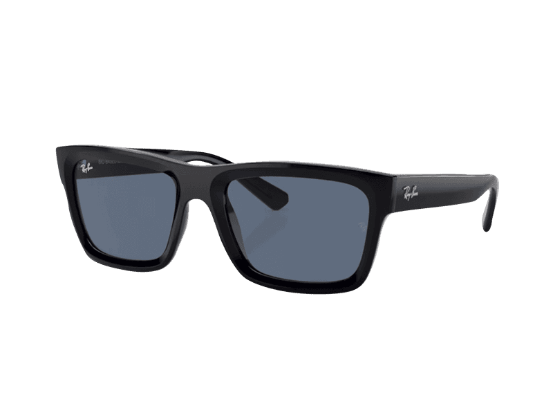 Ray-Ban Warren RB4396 667780