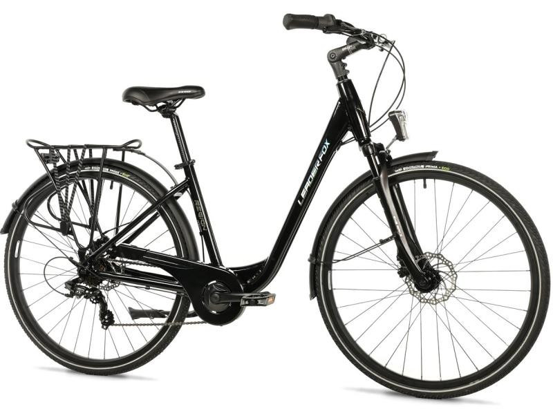 Leader Fox REGION 28