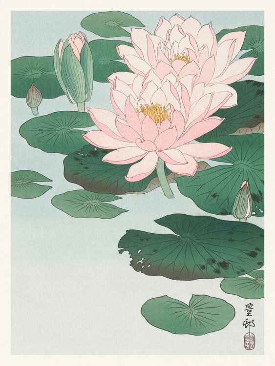 Ohara Koson Obrazová reprodukce Water Lily, Ohara Koson, 30 × 40 cm