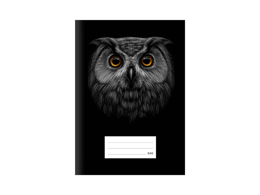 MFP 7520381 Školní sešit LUX A5 540