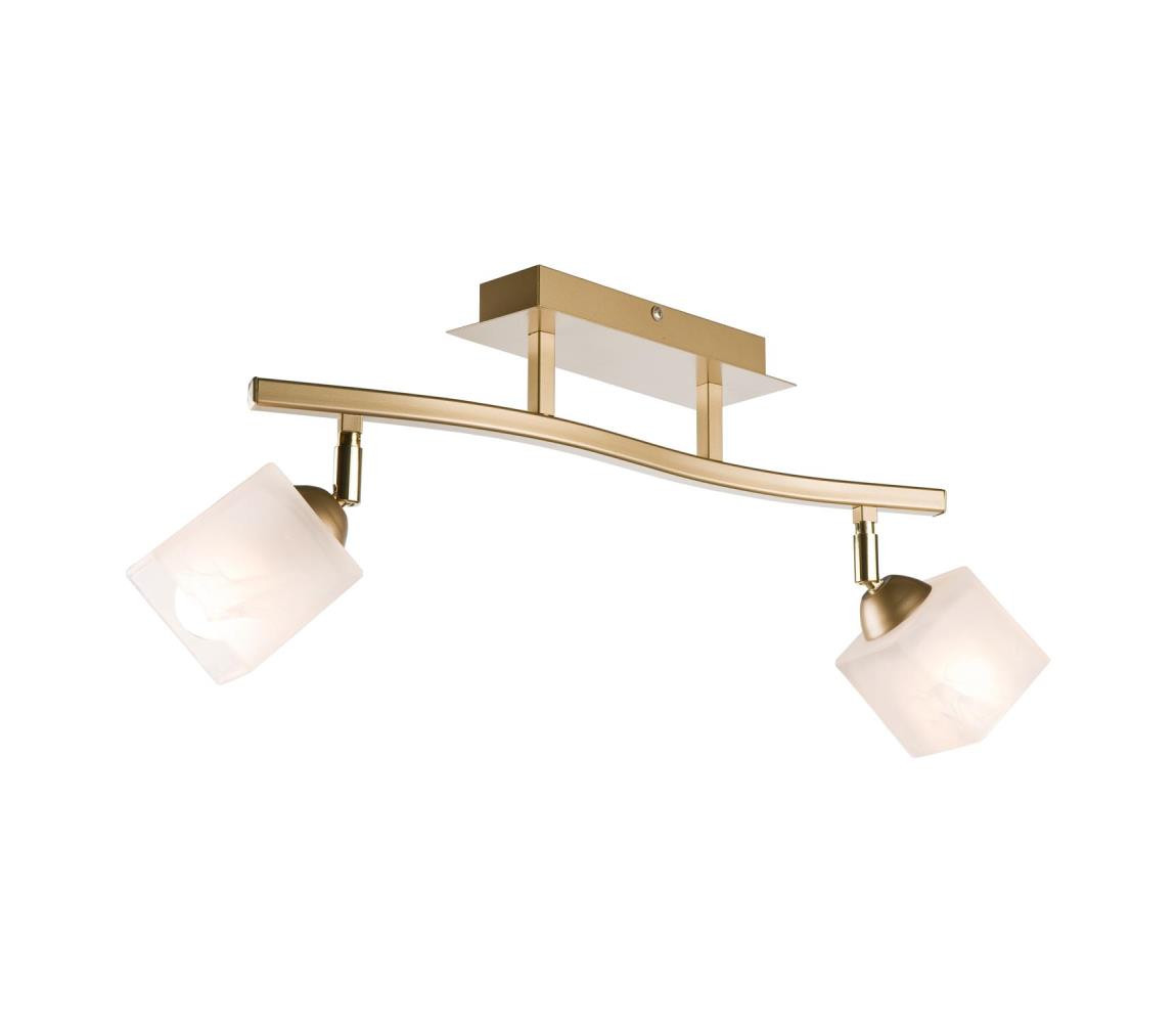 Bodové svítidlo KLARA 2xE14/40W/230V zlatá