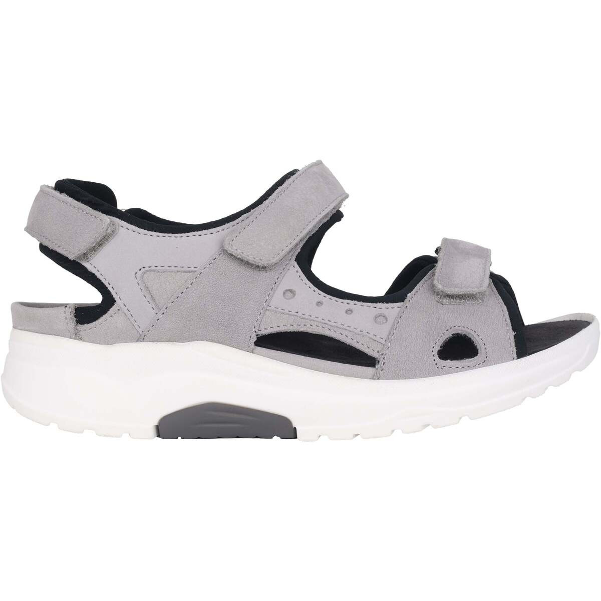 Waldläufer  H-Yvonne  Šedá