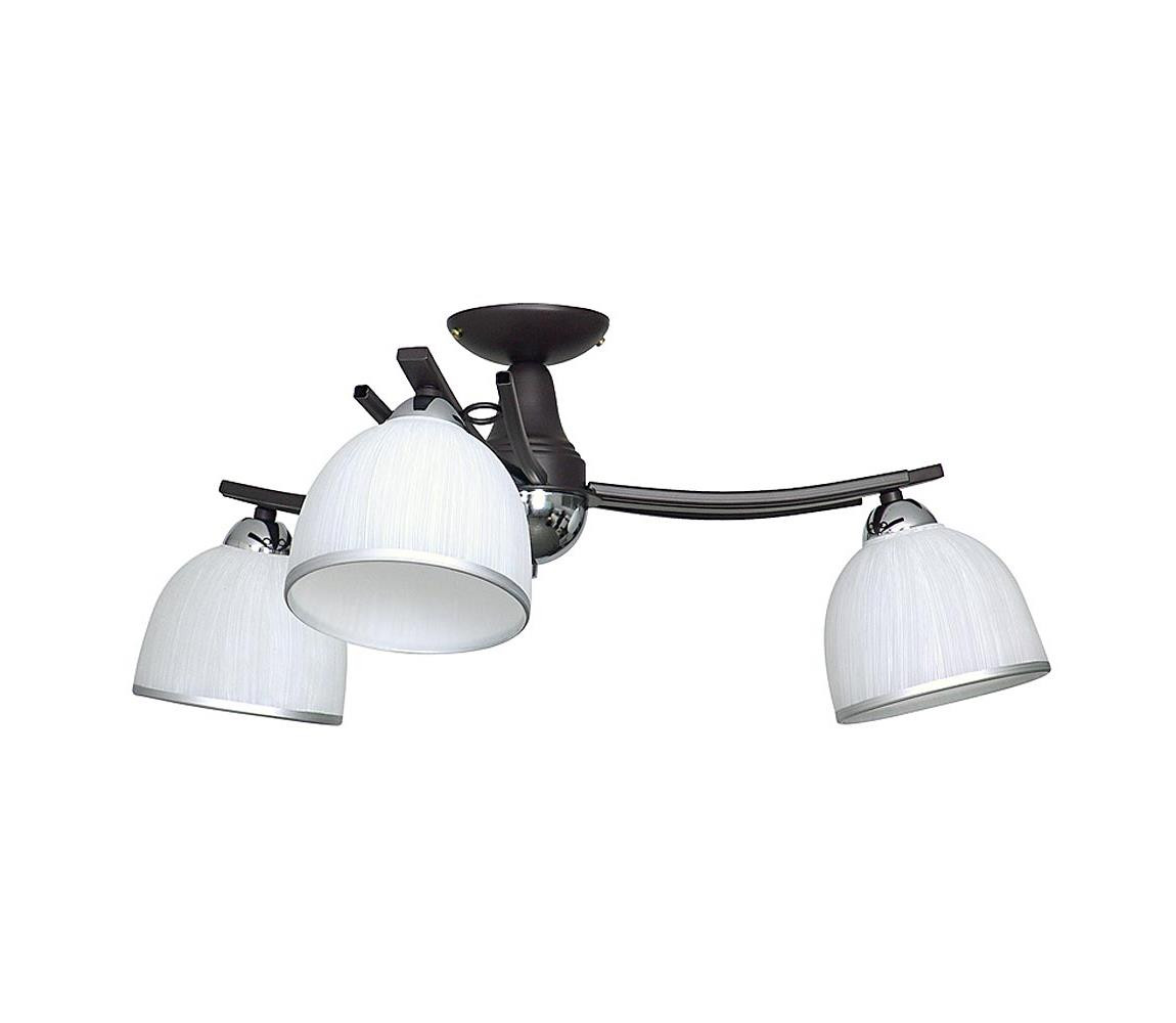 Stropní svítidlo AVIA 3xE27/60W/230V