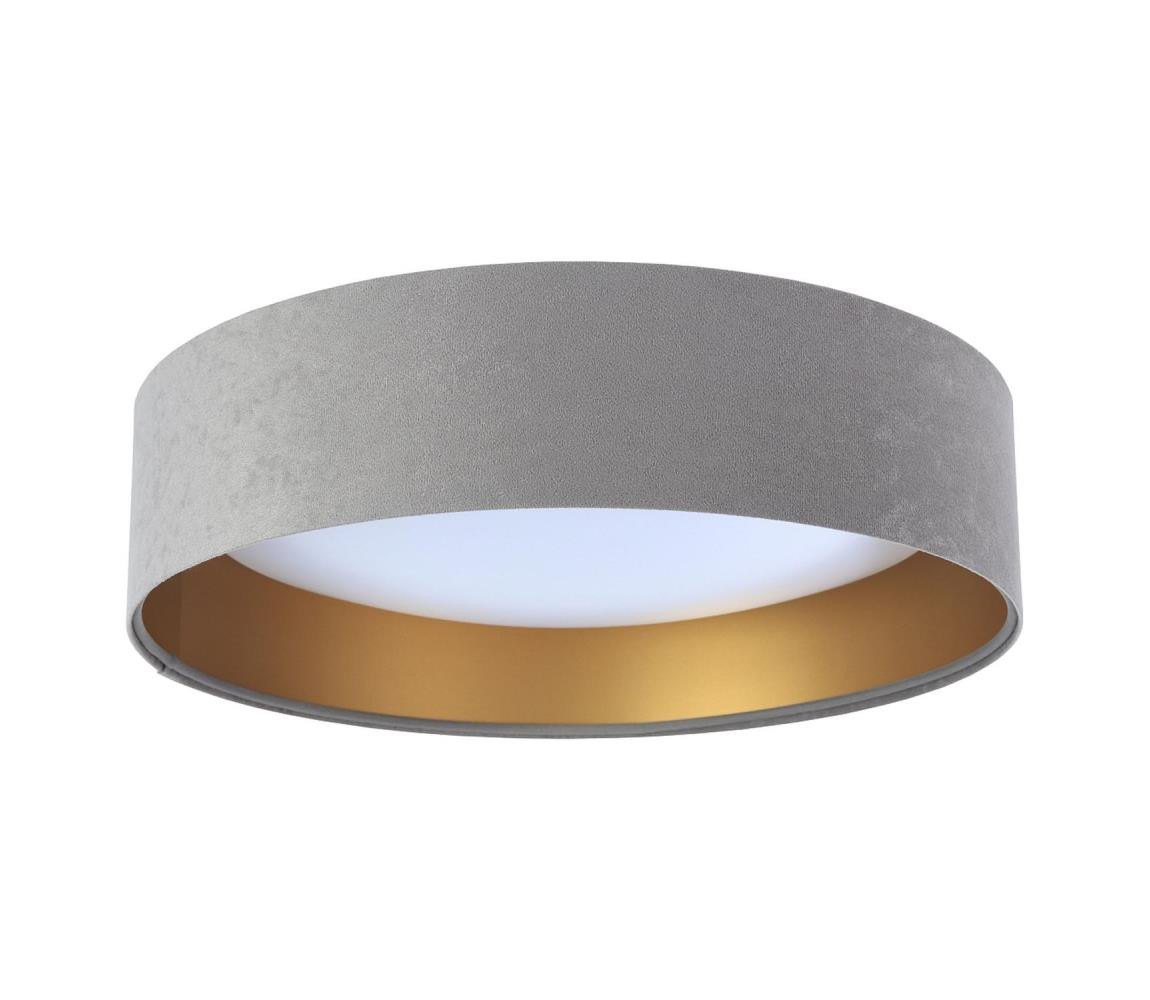 LED Stropní svítidlo GALAXY 1xLED/24W/230V šedá/zlatá