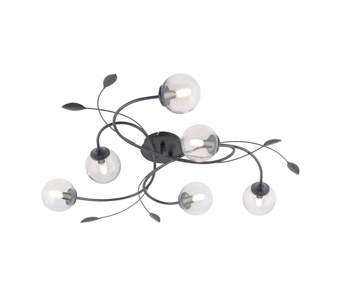 Paul Neuhaus Paul Neuhaus 6737-18 - LED Přisazený lustr WIDOW 6xG9/3W/230V