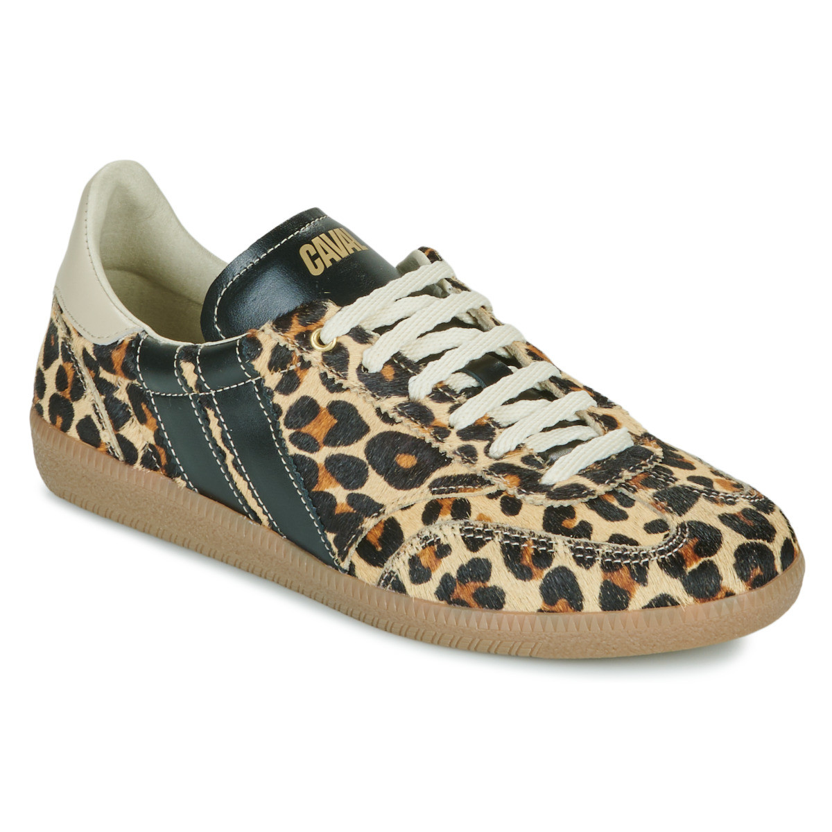 Caval  LEO OBSESSION  ruznobarevne