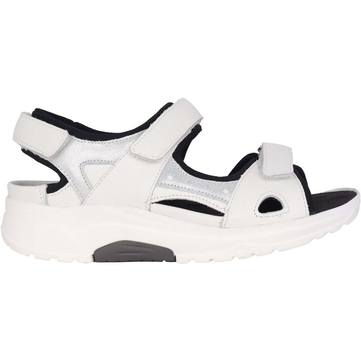 Waldläufer  H-Yvonne  Bílá