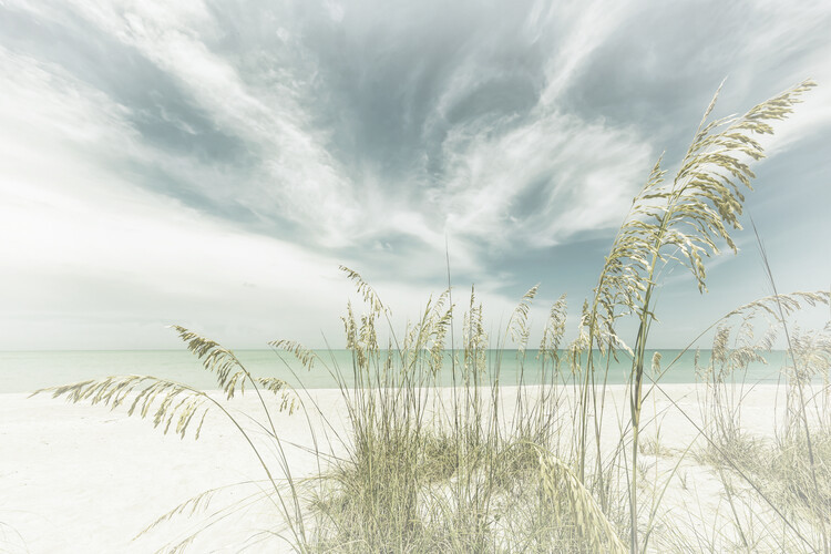 Melanie Viola Fotografie Heavenly calmness on the beach | Vintage, Melanie Viola, 40 × 26.7 cm