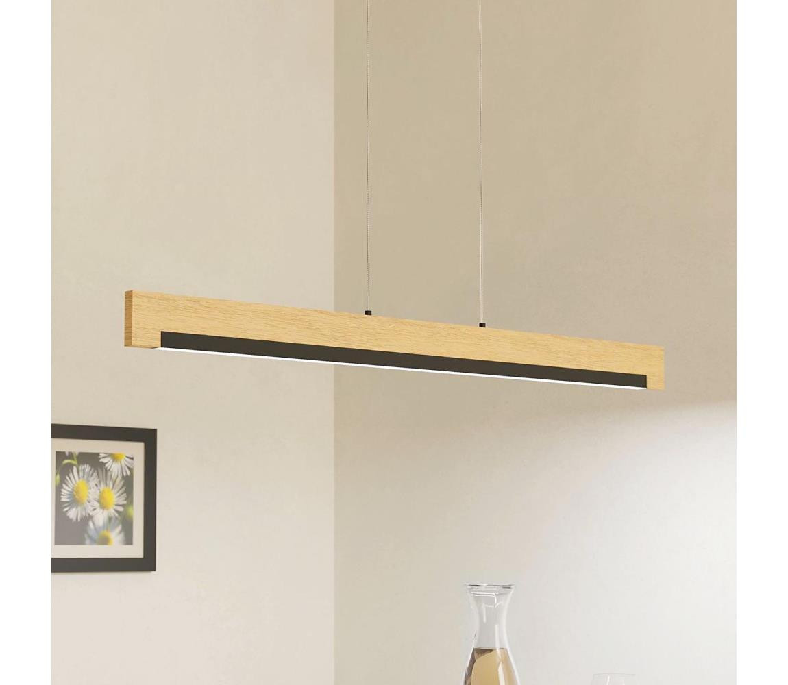 Eglo Eglo 99293 - LED Stmívatelný lustr na lanku CAMACHO LED/25,5W/230V