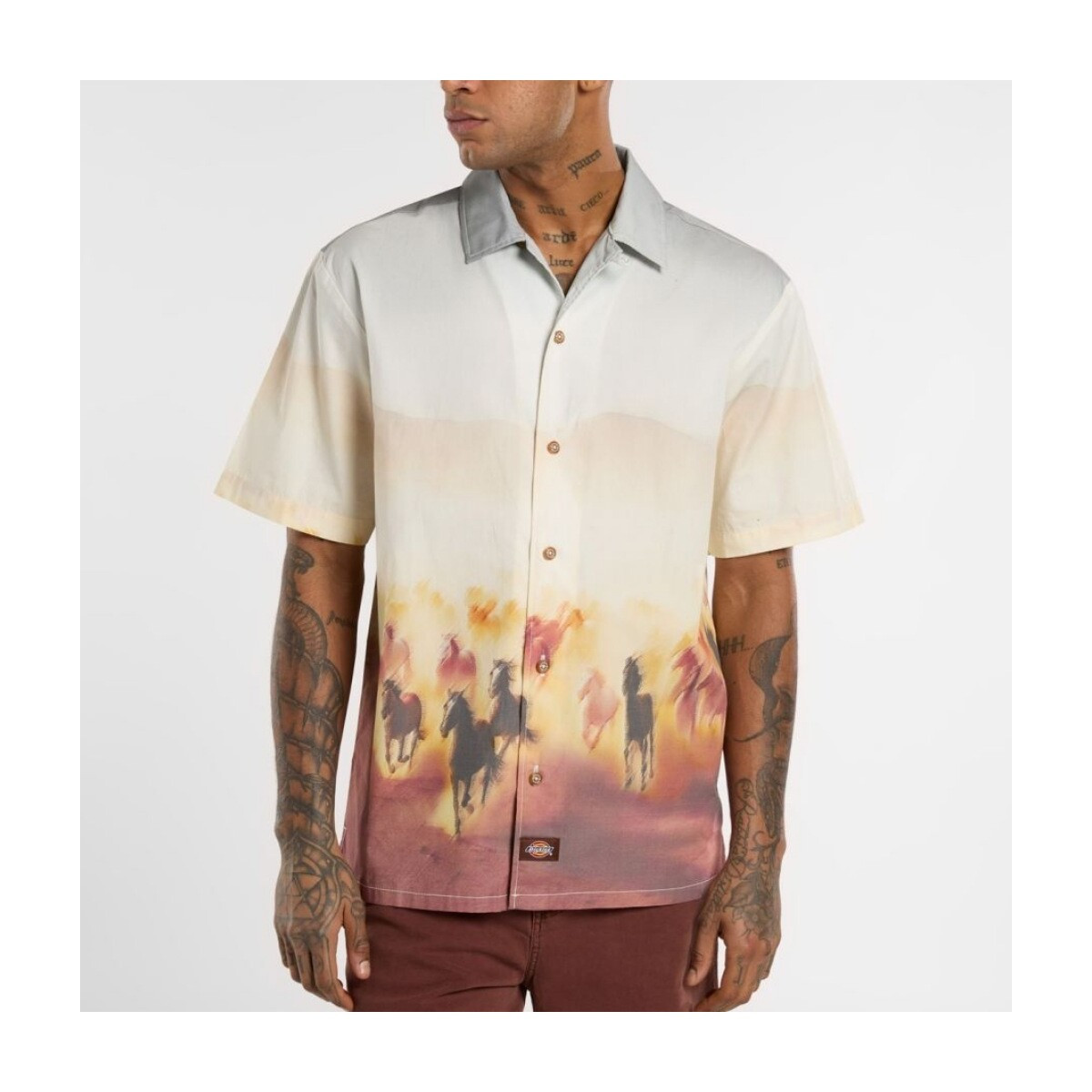 Dickies  RUNNING WILD SHIRT SS  ruznobarevne