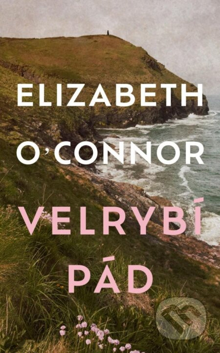 Velrybí pád - Elizabeth O'Connor