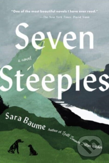 Seven Steeples - Sara Baume