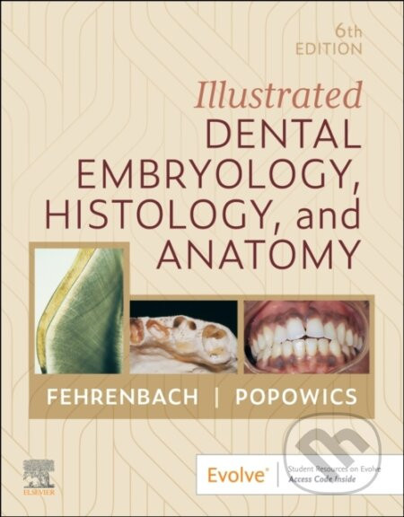 Illustrated Dental Embryology, Histology, and Anatomy - Margaret J. Fehrenbach, Tracy Popowics