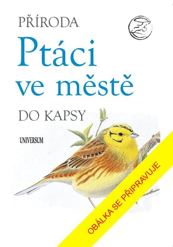 Příroda do kapsy: Ptáci ve městě