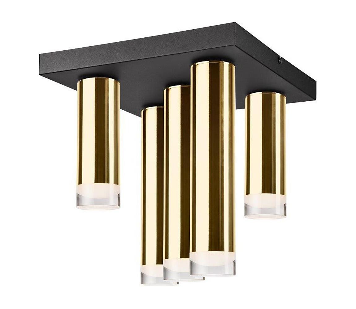 Přisazený lustr DIEGO 5xE27/60W/230V