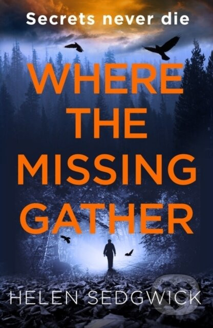 Where the Missing Gather - Helen Sedgwick