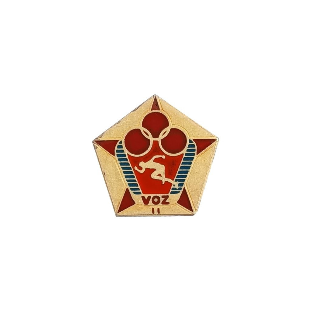 Odznak vojenské zdatnosti 2. stupně - barevný