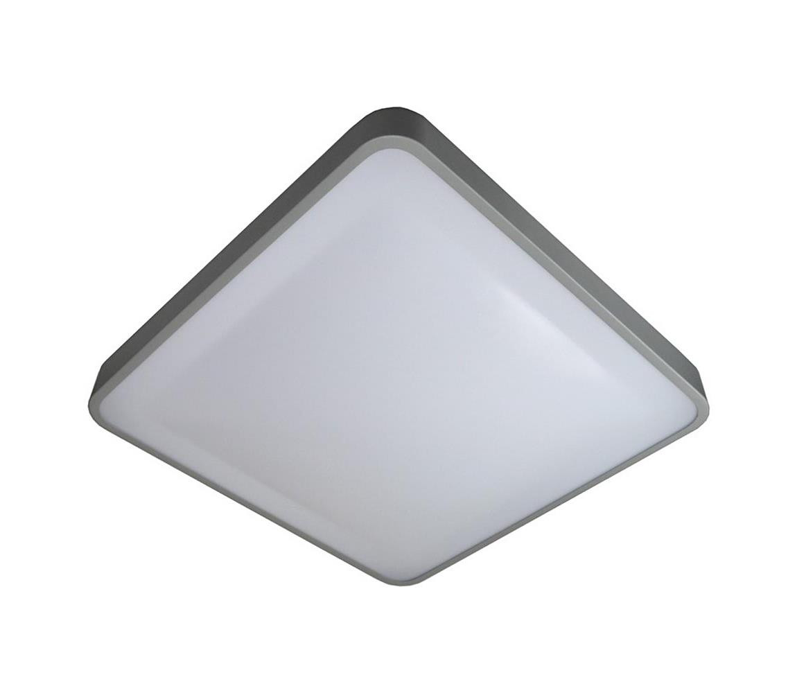 LED Stropní svítidlo WILTON LED/24W/230V šedá