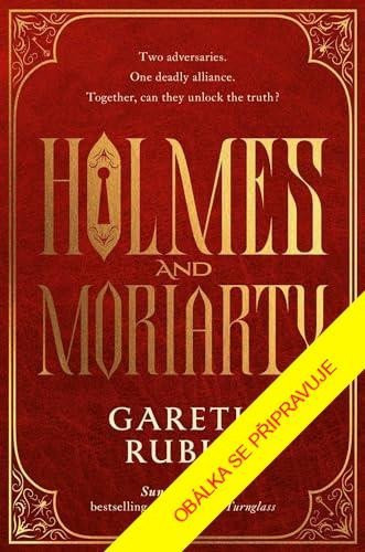 Holmes a Moriarty - Gareth Rubin