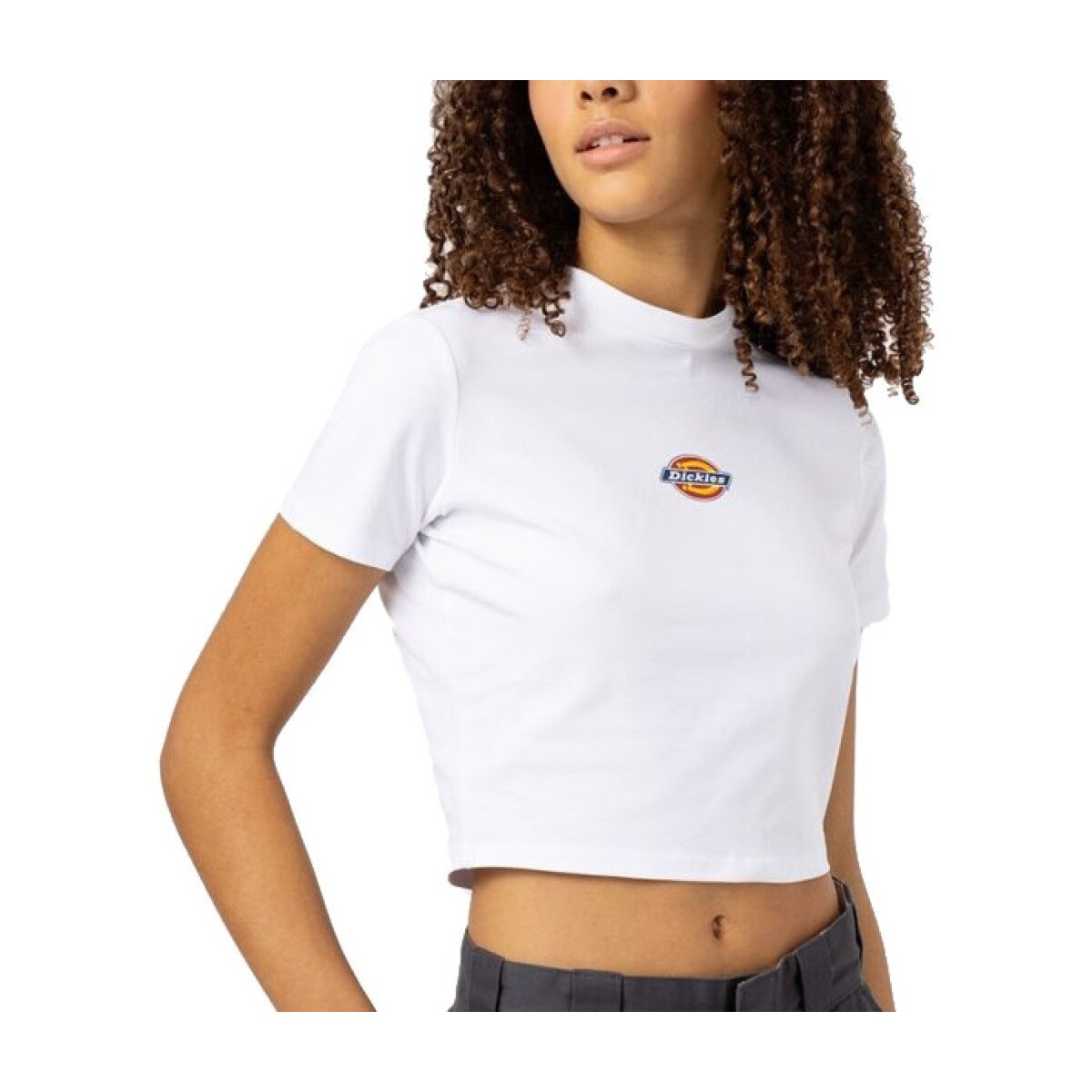 Dickies  MAPLE VALLEY REG TEE  Bílá
