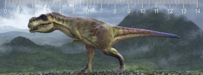 Pravítko T - Rex Walk